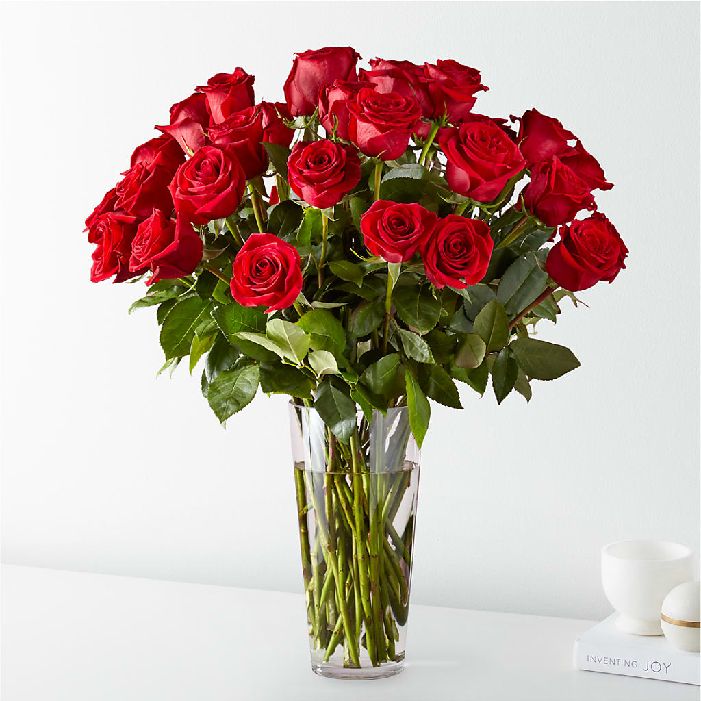 Long Stem Red Rose Bouquet – JARDIN D'ETE, Markham ON