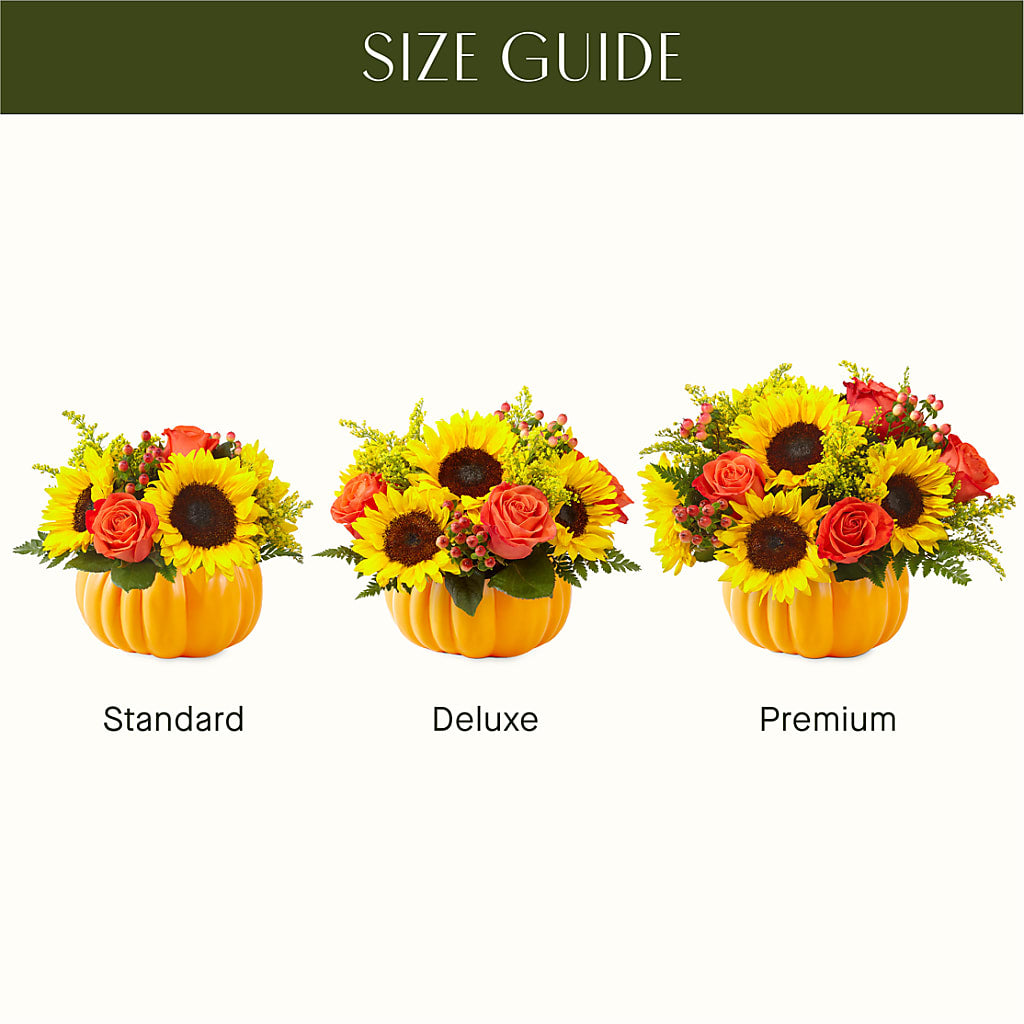 Pick of the Patch Pumpkin Bouquet – JARDIN D'ETE, Markham ON