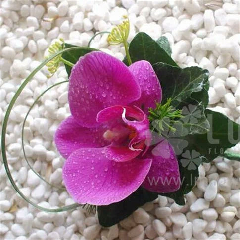 Boutonniere