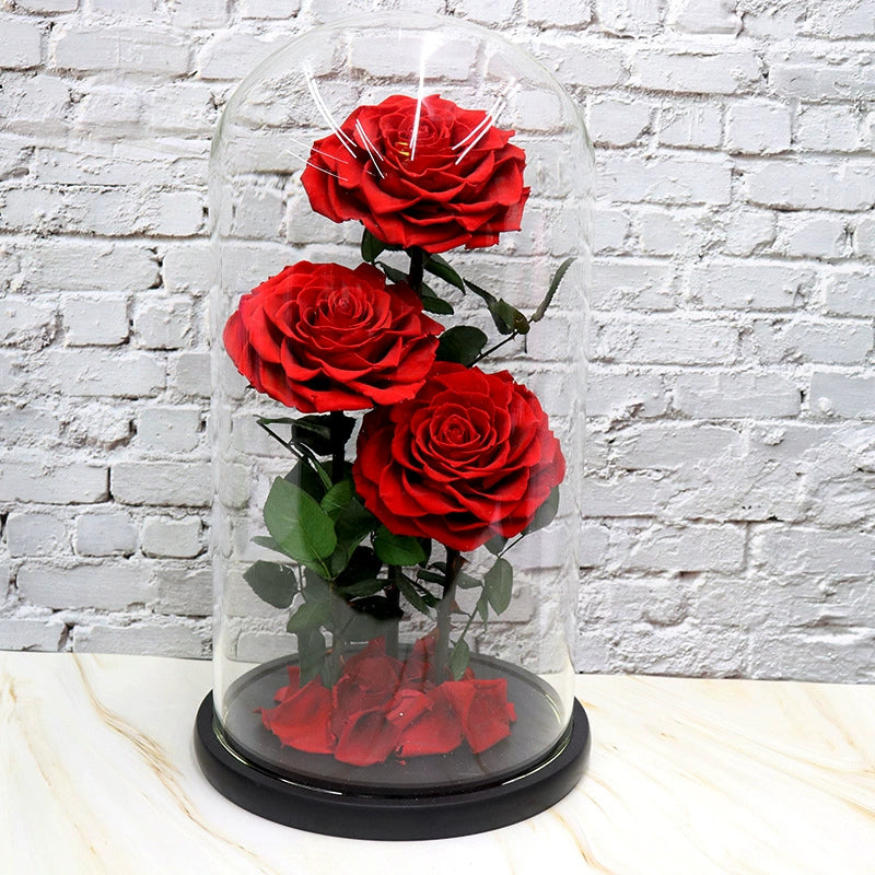 Forever Roses – JARDIN D'ETE, Markham ON