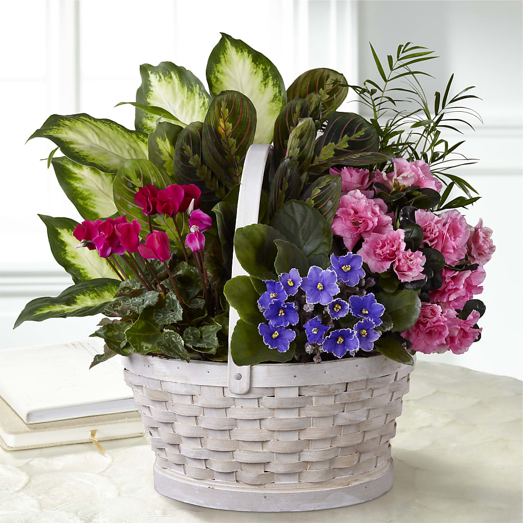 Peaceful Garden Planter – JARDIN D'ETE, Markham ON