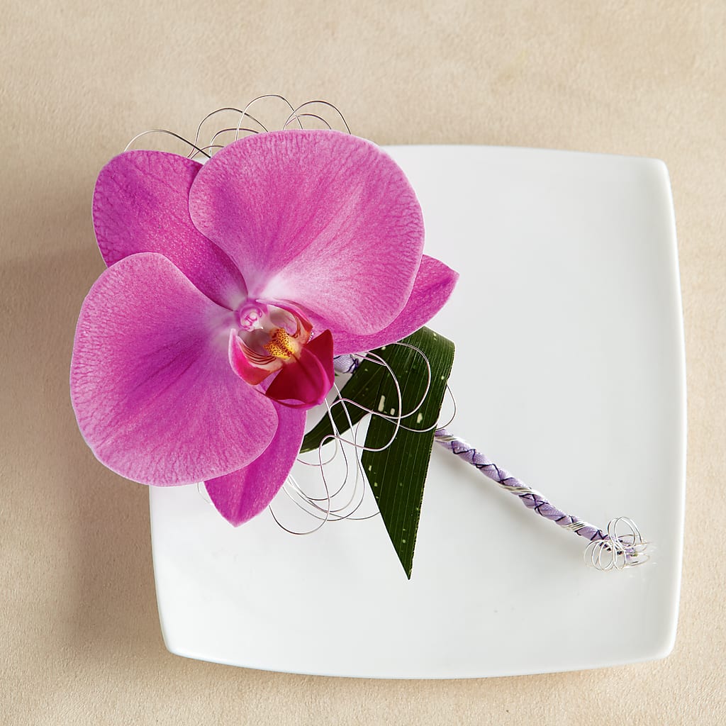 Glorious Boutonniere – JARDIN D'ETE, Markham ON