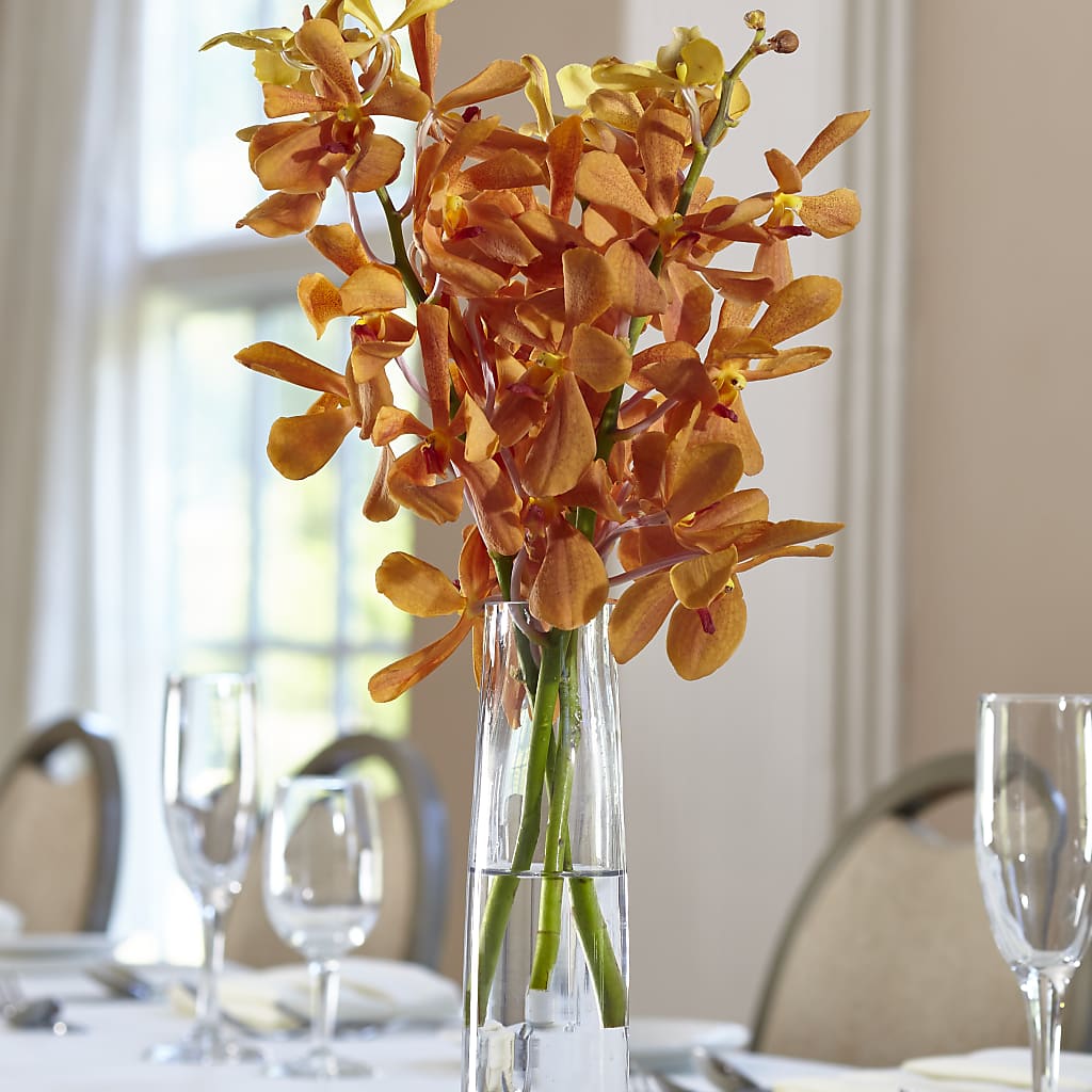 Orange Mokara Bud Vase – JARDIN D'ETE, Markham ON