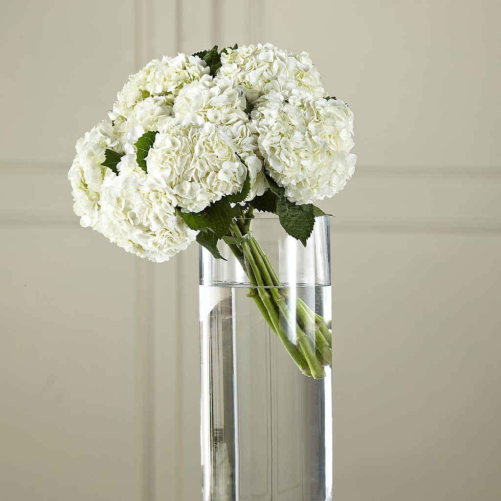 White Hydrangea Hand-Tied Bouquet – JARDIN D'ETE, Markham ON