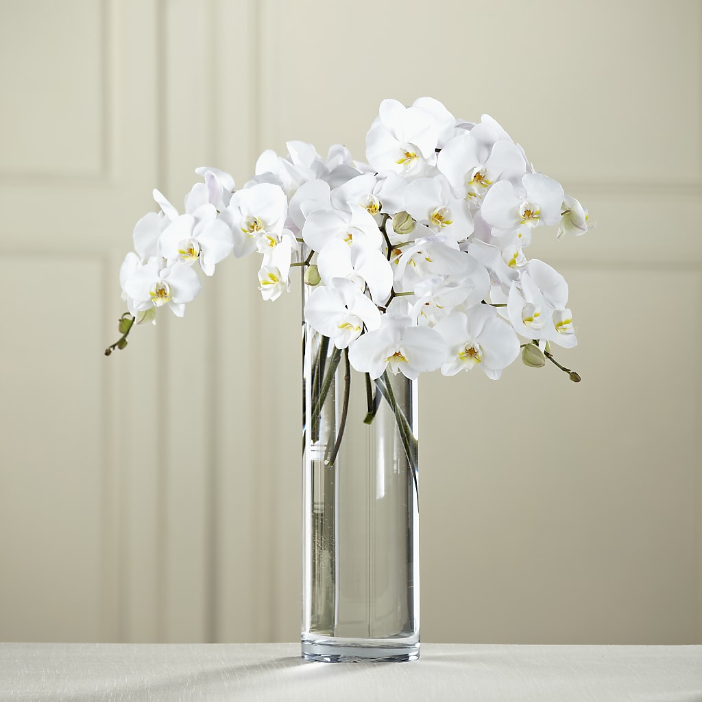 White Phalaenopsis Bouquet – JARDIN D'ETE, Markham ON