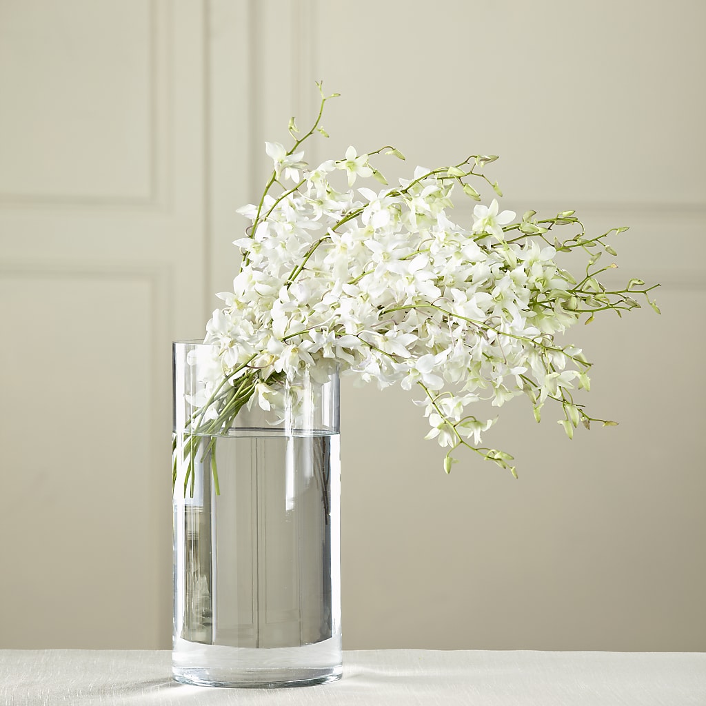 White Dendrobium Bouquet – JARDIN D'ETE, Markham ON