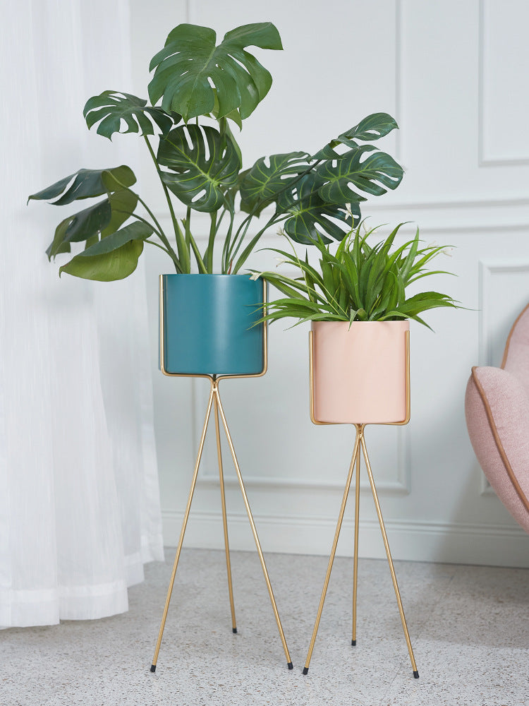 Plant – JARDIN D'ETE, Markham ON