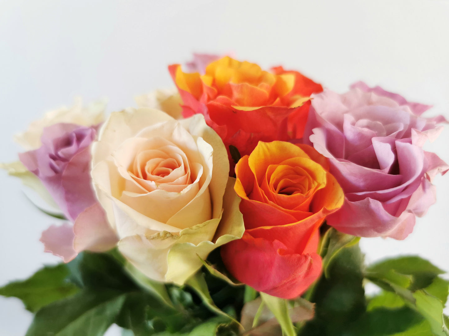 Vertical Charm Rose Box – JARDIN D'ETE, Markham ON