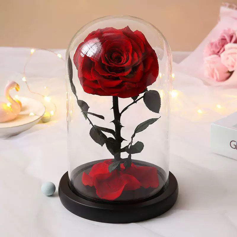 Only Love You (Glass) – JARDIN D'ETE, Markham ON