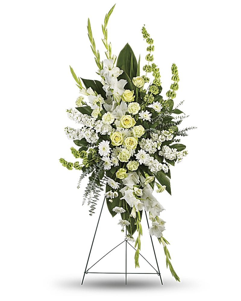 Pure Light Standing Spray