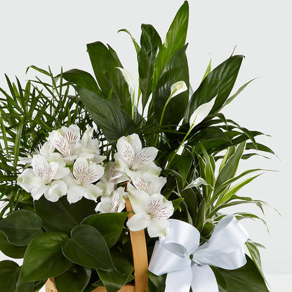 Peace & Serenity Dishgarden – JARDIN D'ETE, Markham ON