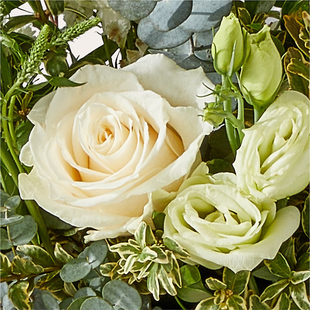 Cashmere Bouquet – JARDIN D'ETE, Markham ON