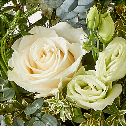 Cashmere Bouquet – JARDIN D'ETE, Markham ON