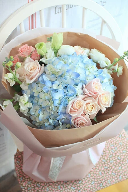 Pastel Dreams Hydrangea Mix