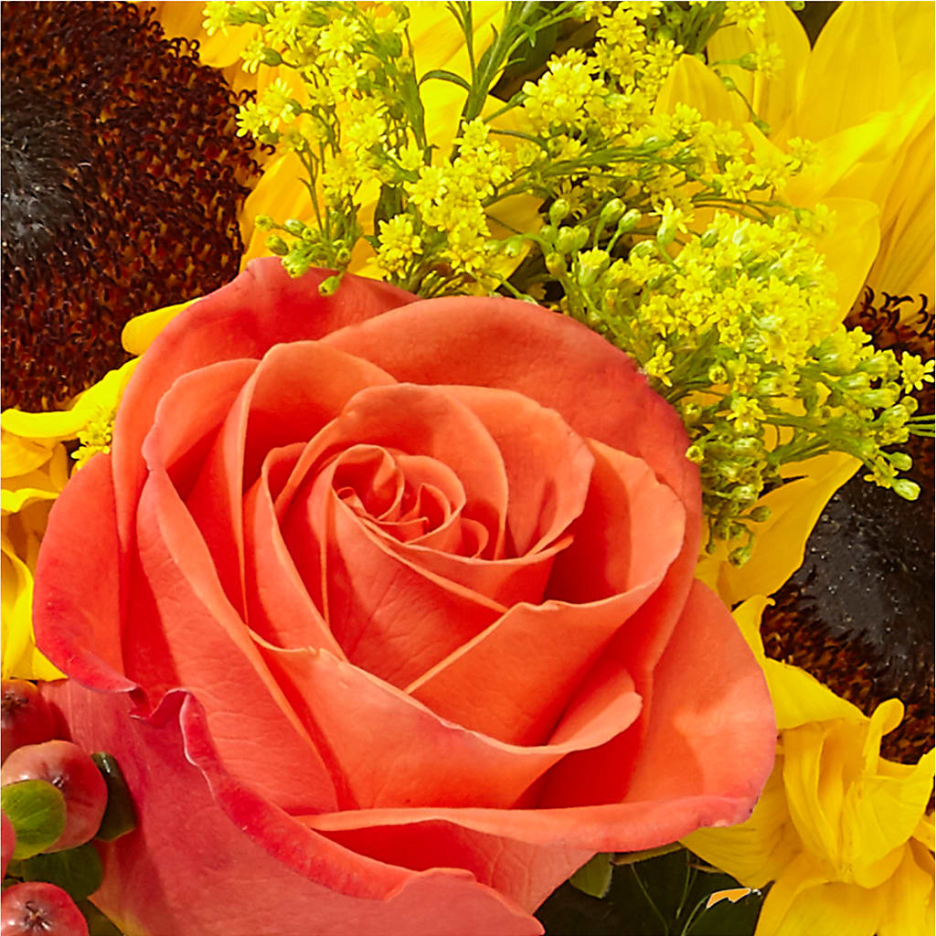 Pick of the Patch Pumpkin Bouquet – JARDIN D'ETE, Markham ON