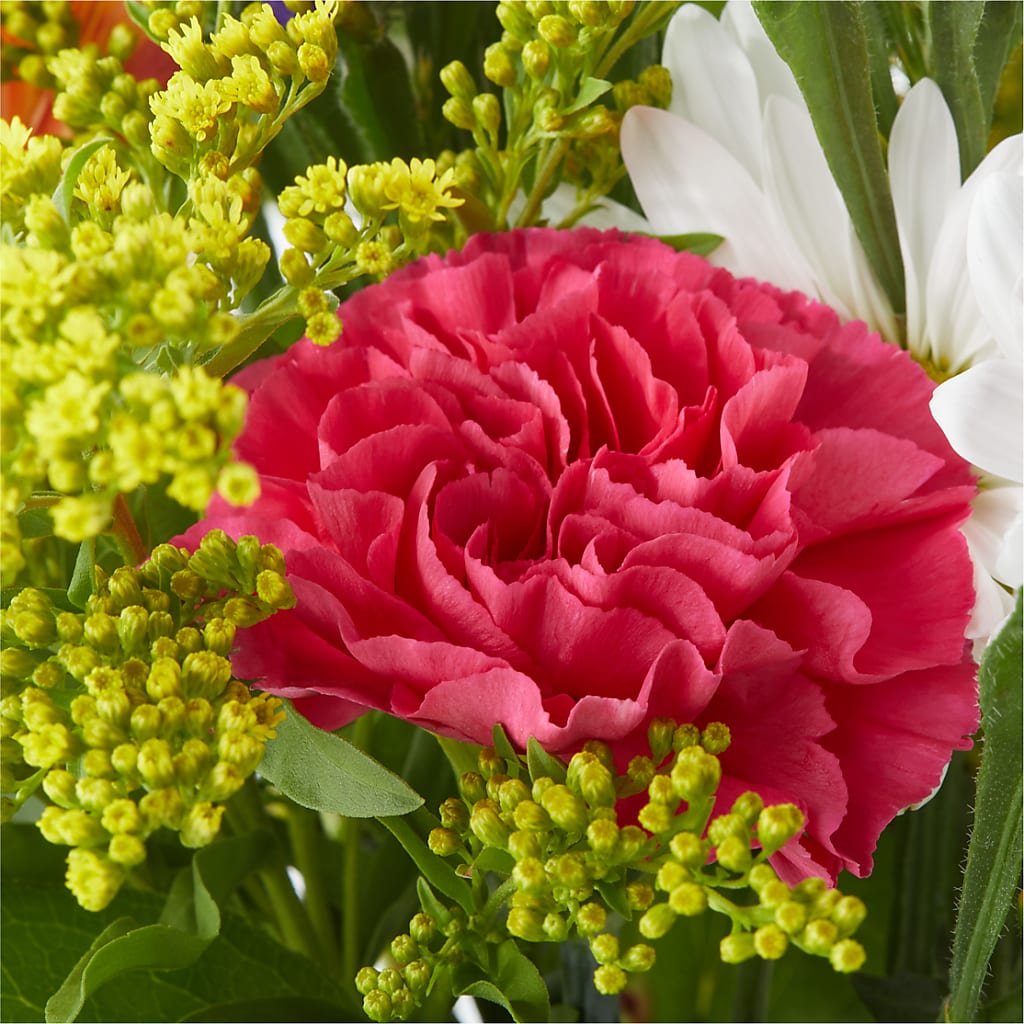 Oopsie Daisy Bouquet – JARDIN D'ETE, Markham ON