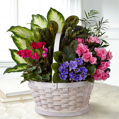 Peaceful Garden Planter – JARDIN D'ETE, Markham ON