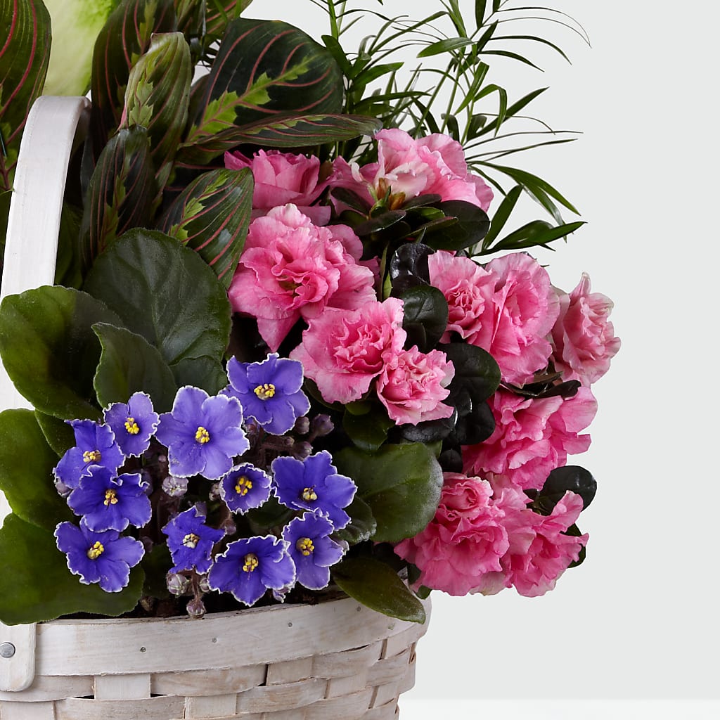 Peaceful Garden Planter – JARDIN D'ETE, Markham ON
