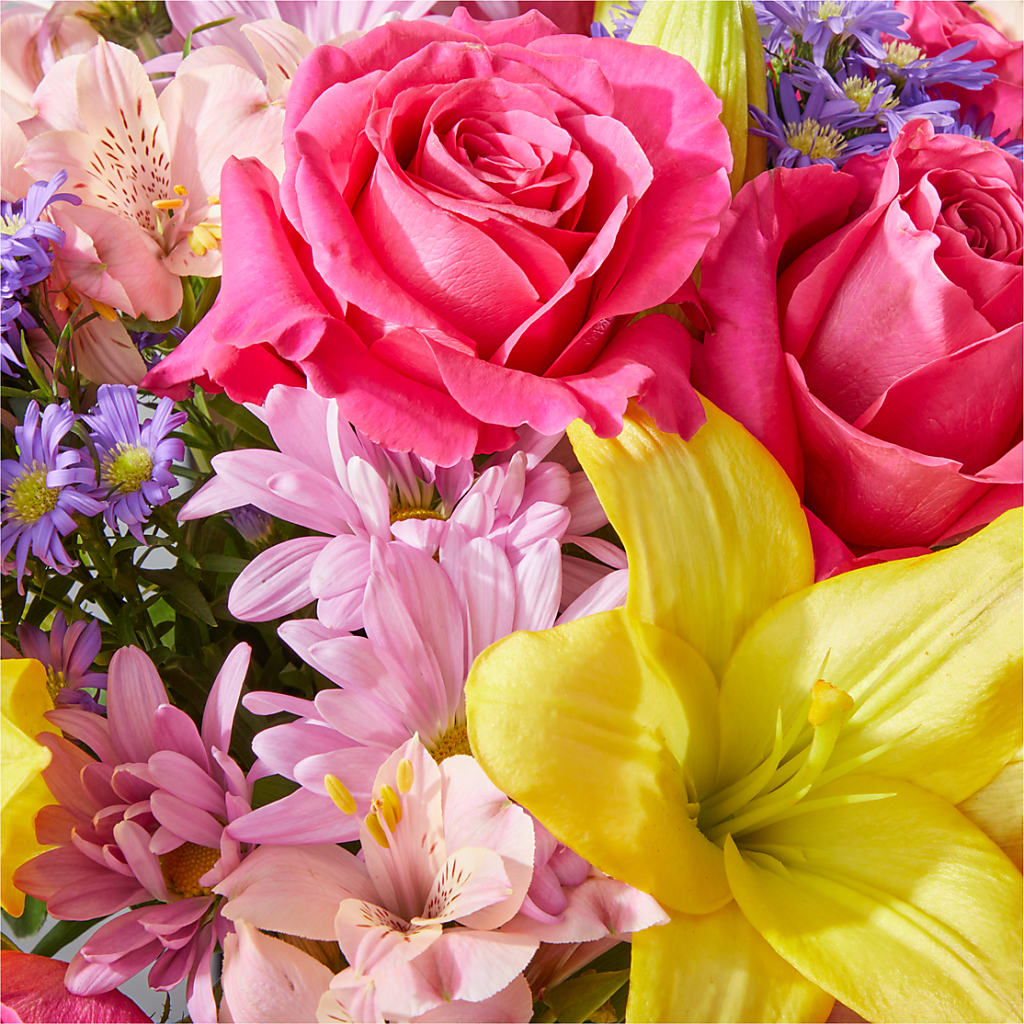Sprinkles Bouquet – JARDIN D'ETE, Markham ON
