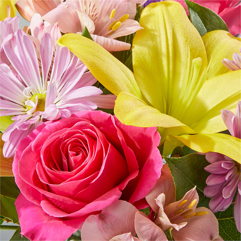 Sprinkles Bouquet – JARDIN D'ETE, Markham ON