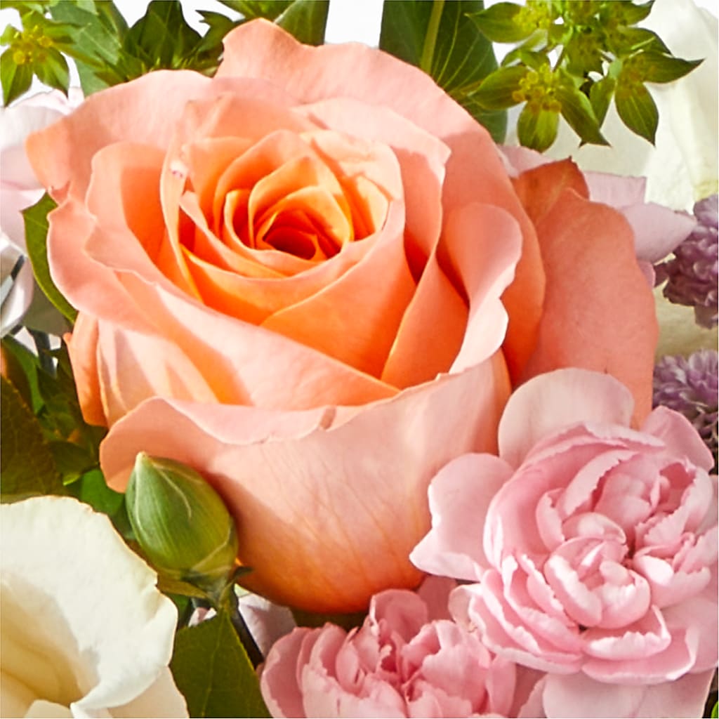 French Market Bouquet – JARDIN D'ETE, Markham ON