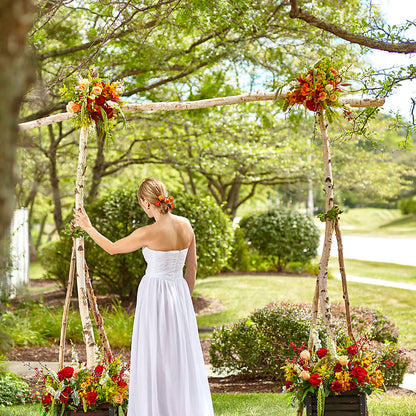 Arbor of Love Archway – JARDIN D'ETE, Markham ON