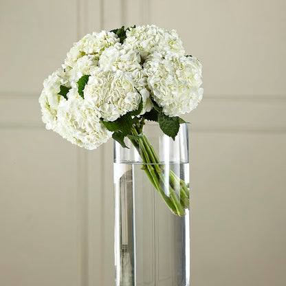 White Hydrangea Hand-Tied Bouquet – JARDIN D'ETE, Markham ON