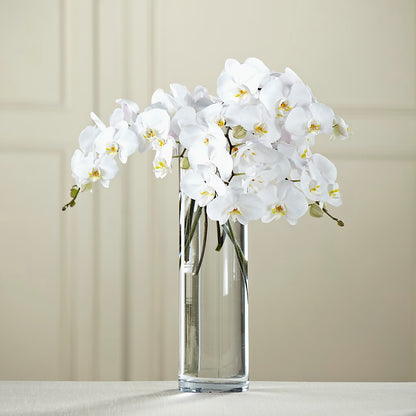 White Phalaenopsis Bouquet – JARDIN D'ETE, Markham ON